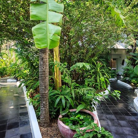 Samsara Villa Пном Пен Екстериор снимка